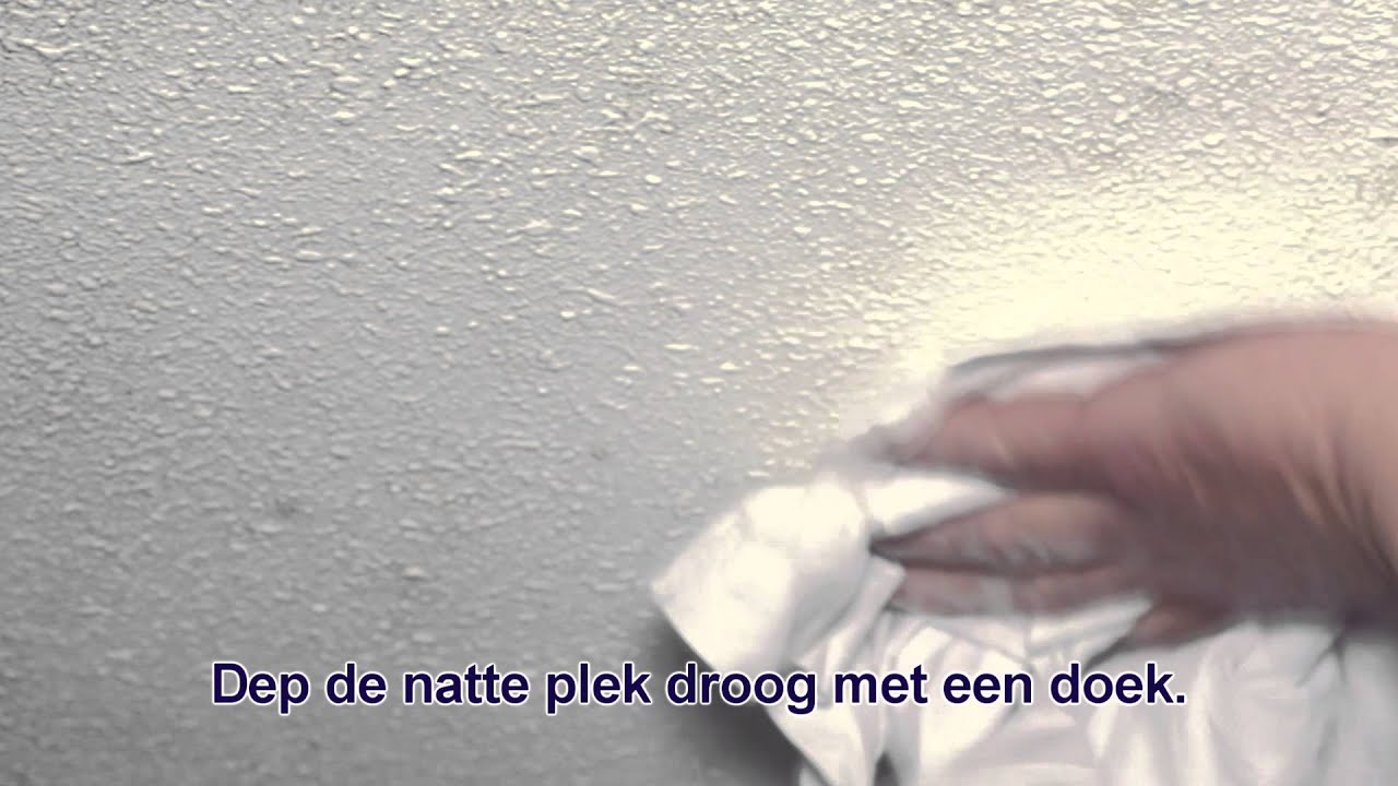 Schimmels verwijderen